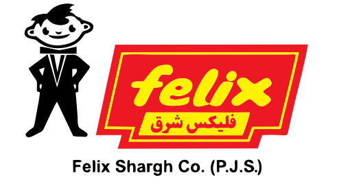 لوگو شرکت فلیکس شرق